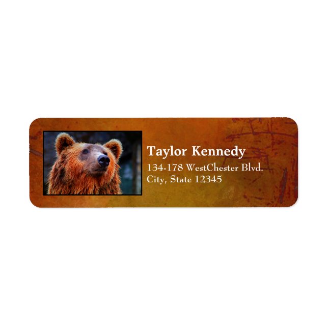 Beautiful Brown Bear Portrait Wildlife Photo (Front)