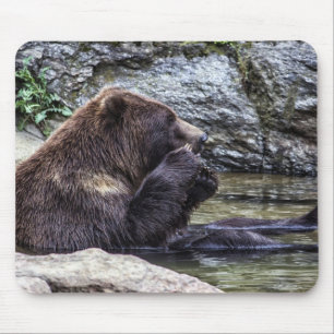 Beautiful Brown Grizzly Bear Mouse Pad