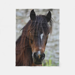 Beautiful Brown Horse Fleece Blanket