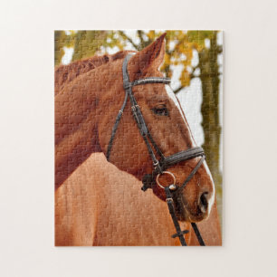 Beautiful Brown Horse Jigsaw Puzzle