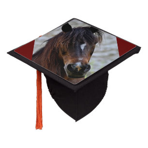 Beautiful Brown Horse Tassel Topper
