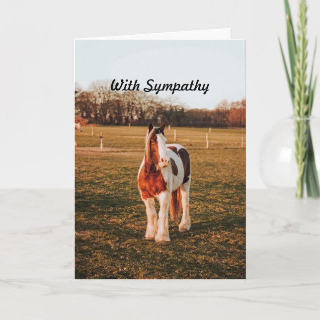 Beautiful Brown Paint Draft Horse Photo Sympathy Card (Front)