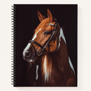 Beautiful Brown Paint Horse Portrait Photo Notebook
