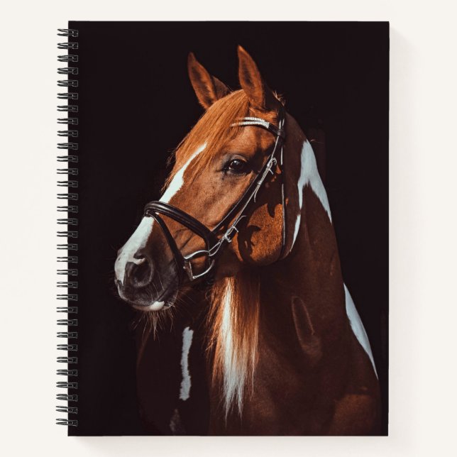 Beautiful Brown Paint Horse Portrait Photo Notebook (Front)