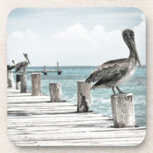 Beautiful Brown Pelicans Ocean Coastal Beach Coaster