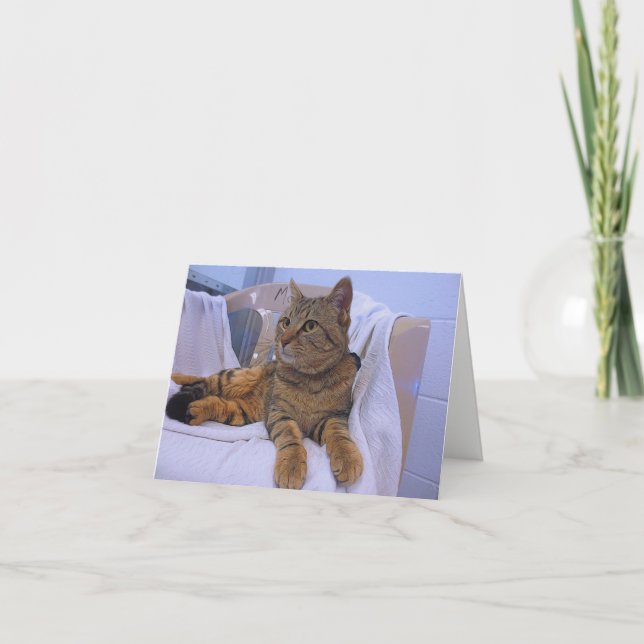 Beautiful Brown Tabby Card (Front)