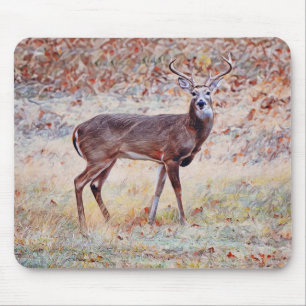 Beautiful Buck Deer in Wild Mouse Pad