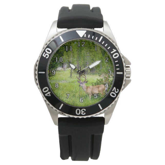 Beautiful Buck in the Meadow eWatch Watch (Front)