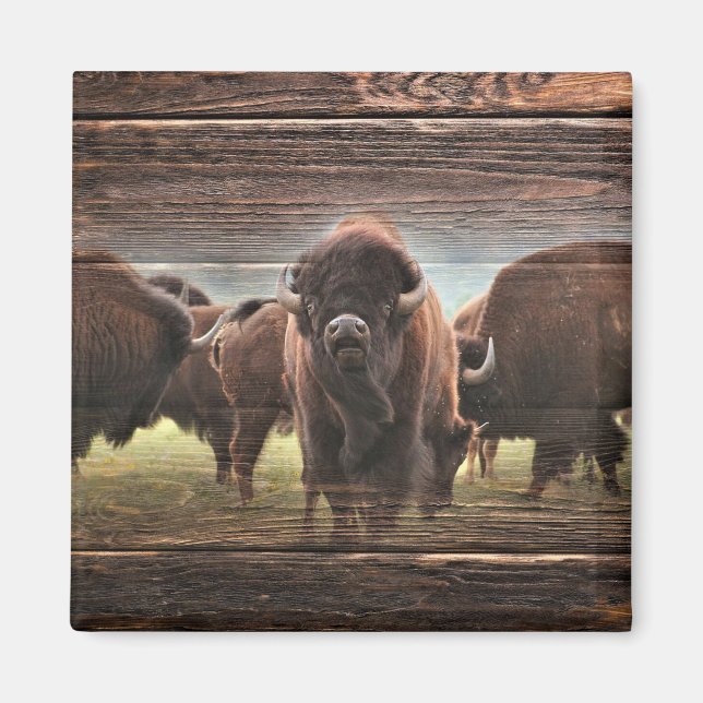 Beautiful Buffalo Herd Magnet (Front)