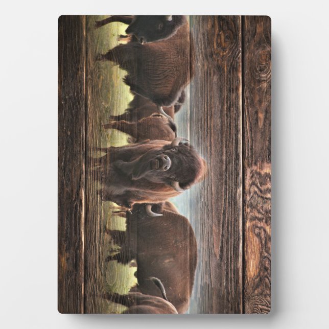 Beautiful Buffalo Herd Plaque (Front)