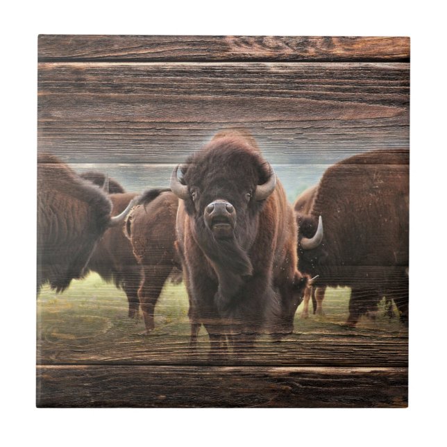 Beautiful Buffalo Herd Tile (Front)
