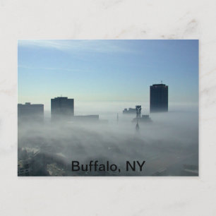 Beautiful Buffalo, NY Postcard