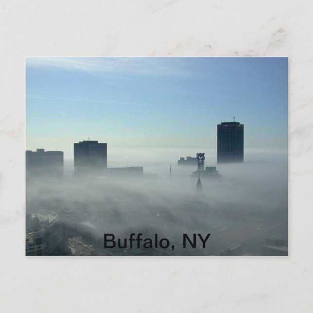 Beautiful Buffalo, NY Postcard (Front)