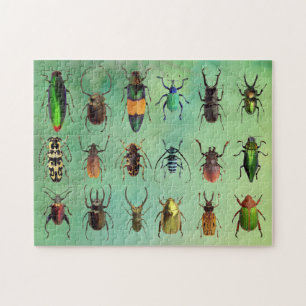 Beautiful Bugs Beetle Mania Puzzle