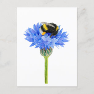 Beautiful Bumblebee Drawing Postcard