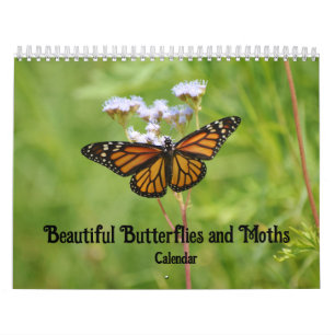 Beautiful Butterflies and Moths Calendar