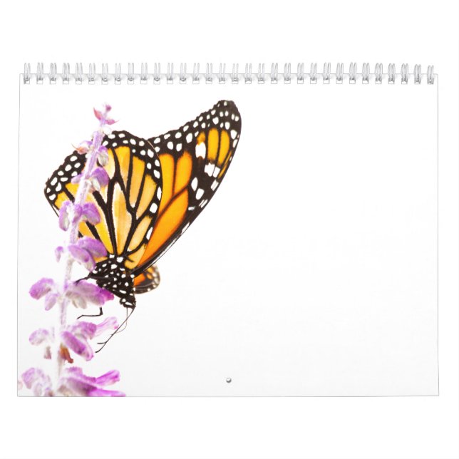 Beautiful butterflies calendar (Cover)