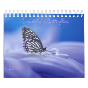 Beautiful Butterflies Photography Calendar