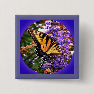 Beautiful Butterflies Pinback Button