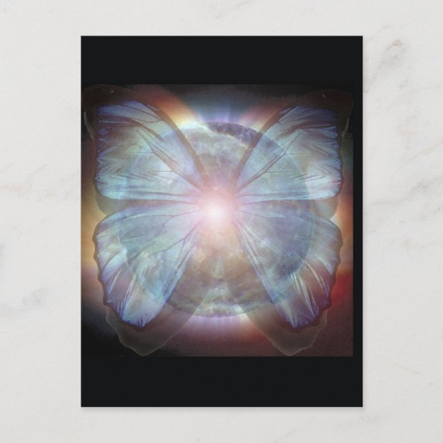 Beautiful Butterflies Postcard (Front)