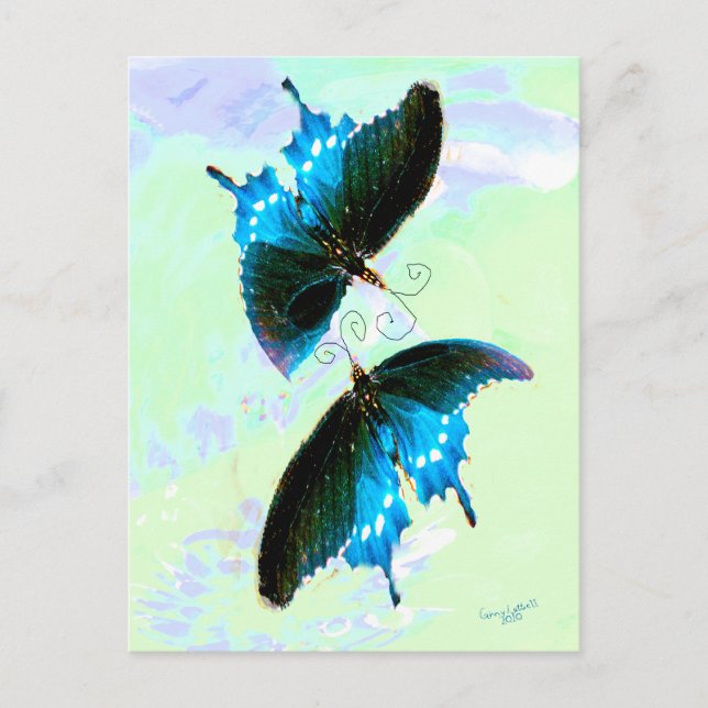 Beautiful Butterflies Postcard (Front)