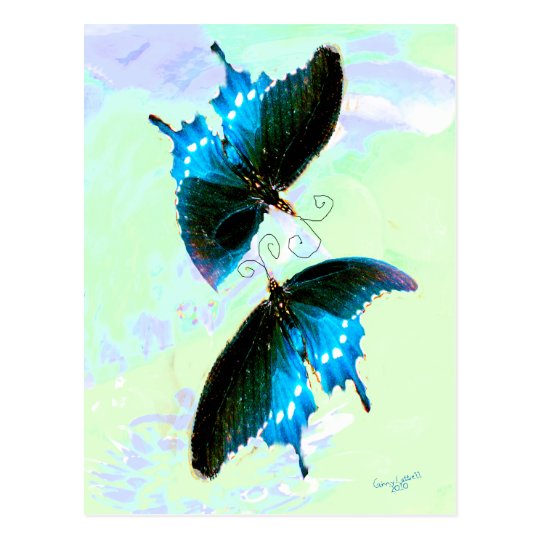 Beautiful Butterflies Postcard