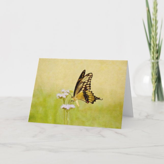 Beautiful Butterfly and Flower Art Scripture Card (Front)