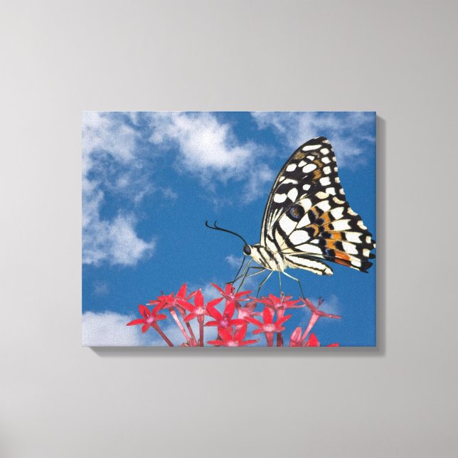 Beautiful Butterfly Canvas Print (Front)