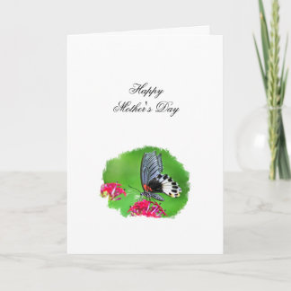 Beautiful Butterfly (Great Mormon) Mother's Day Holiday Card