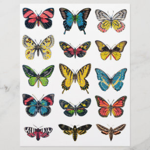 Beautiful Butterfly Illustrations for Crafting