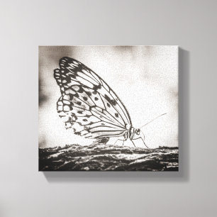 Beautiful Butterfly Insects Nature Canvas Print
