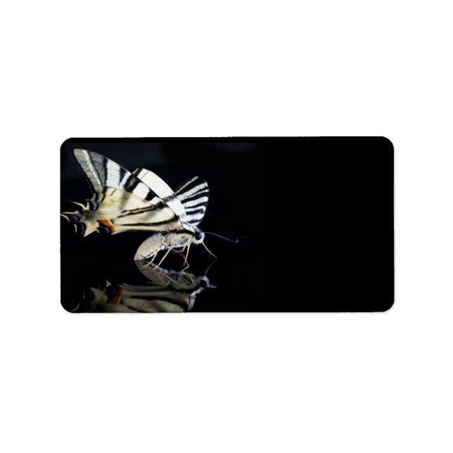 Beautiful butterfly label (Front)