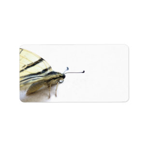 Beautiful butterfly label