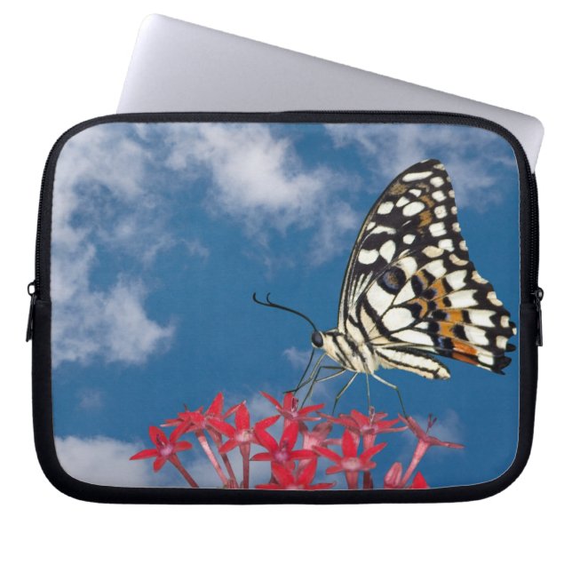Beautiful Butterfly Laptop Sleeve (Front)