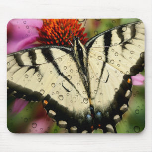 Beautiful Butterfly Mouse Pad