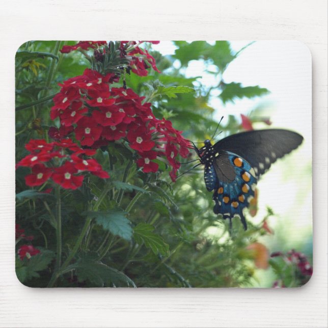 Beautiful Butterfly Mouse Pad (Front)