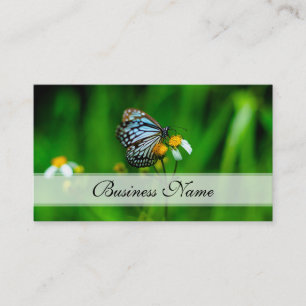 Beautiful Butterfly on a flower Business Card
