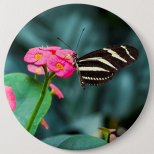 Beautiful butterfly on a pink flower 6 inch round button