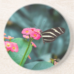 Beautiful butterfly on a pink flower coaster