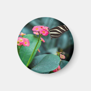Beautiful butterfly on a pink flower magnet