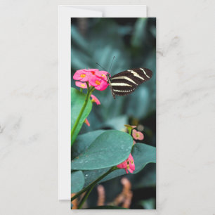 Beautiful butterfly on a pink flower magnetic invitation