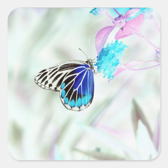 Beautiful Butterfly on flower - Negative Photo 3 Square Sticker (Front)