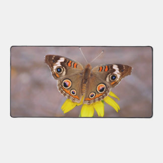 Beautiful Butterfly on Yellow Flower  Desk Mat
