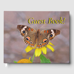 Beautiful Butterfly on Yellow Flower Guest Book