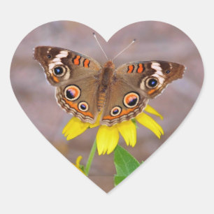 Beautiful Butterfly on Yellow Flower Heart Sticker