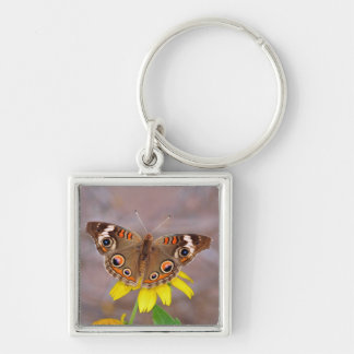 Beautiful Butterfly on Yellow Flower  Keychain