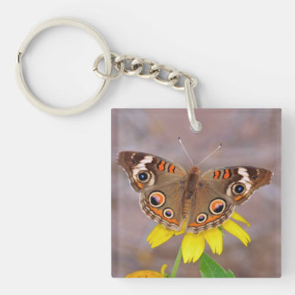 Beautiful Butterfly on Yellow Flower Keychain