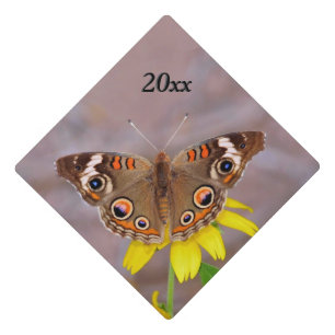 Beautiful Butterfly on Yellow Flower Year Graduation Cap Topper