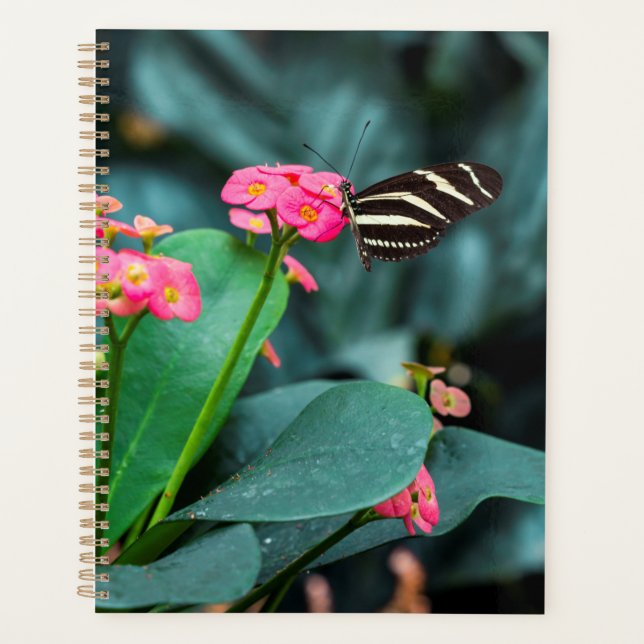 Beautiful butterfly  planner (Front)