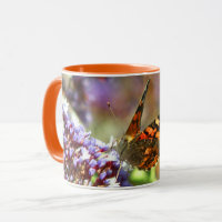 Beautiful Butterfly pollinating flowers